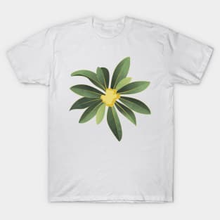 Loquat medlar flower in Autumn T-Shirt